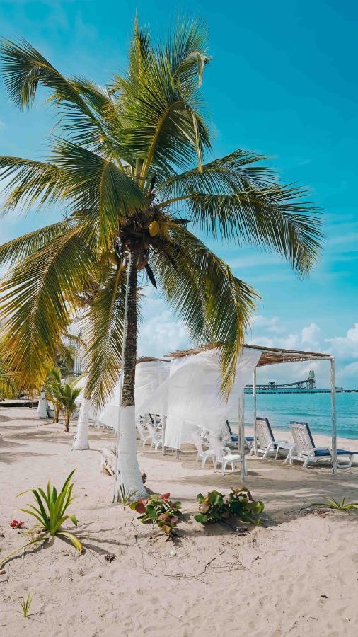 Makary Beach Hotel Tolú Dış mekan fotoğraf