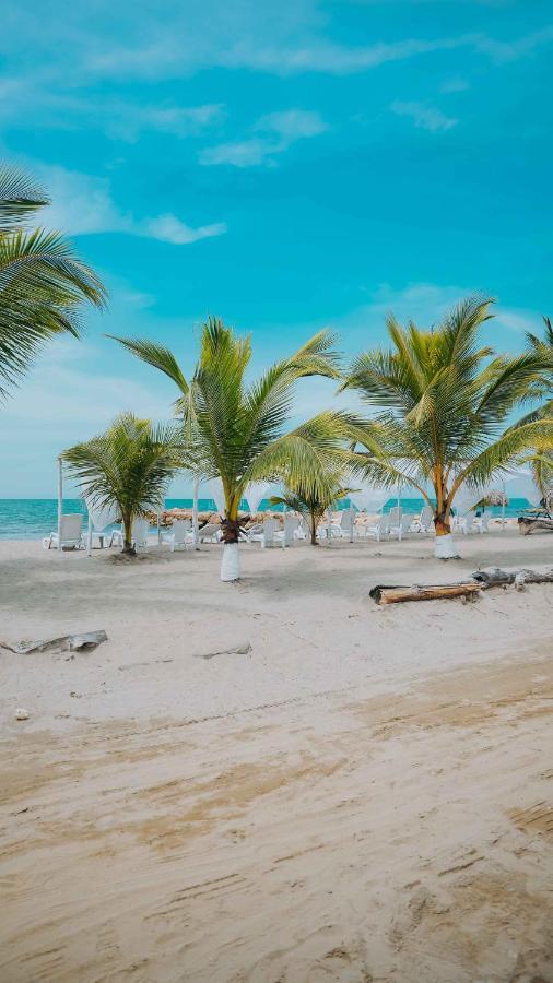 Makary Beach Hotel Tolú Dış mekan fotoğraf